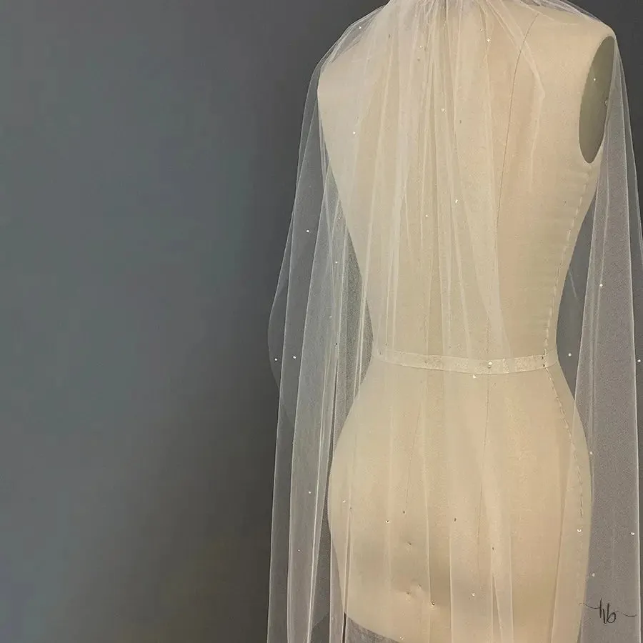 Cassidy Veil