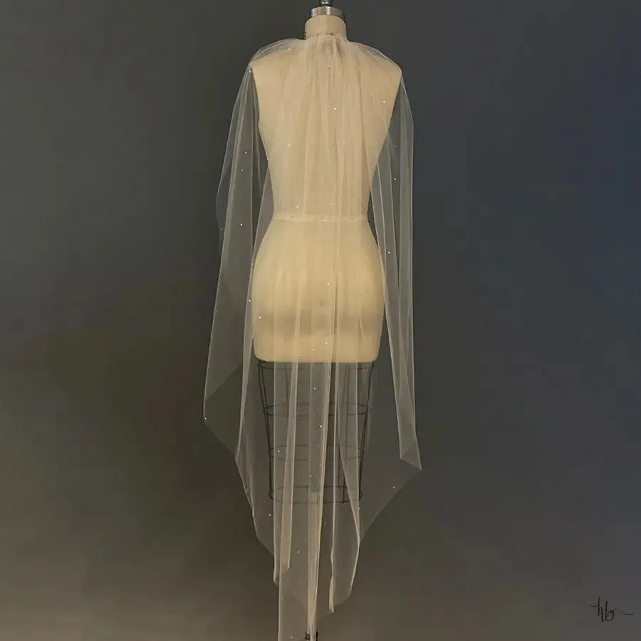 Cassidy Veil